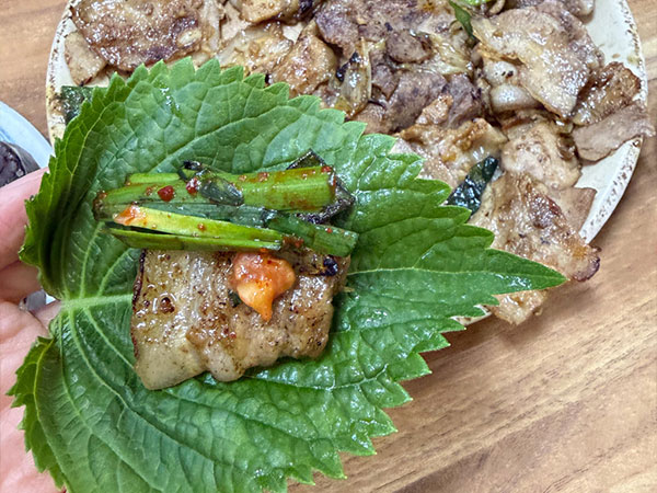 경주시 경주단골식당 돼지불고기