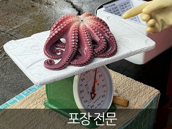 영주시 묵호문어집 포장 문어