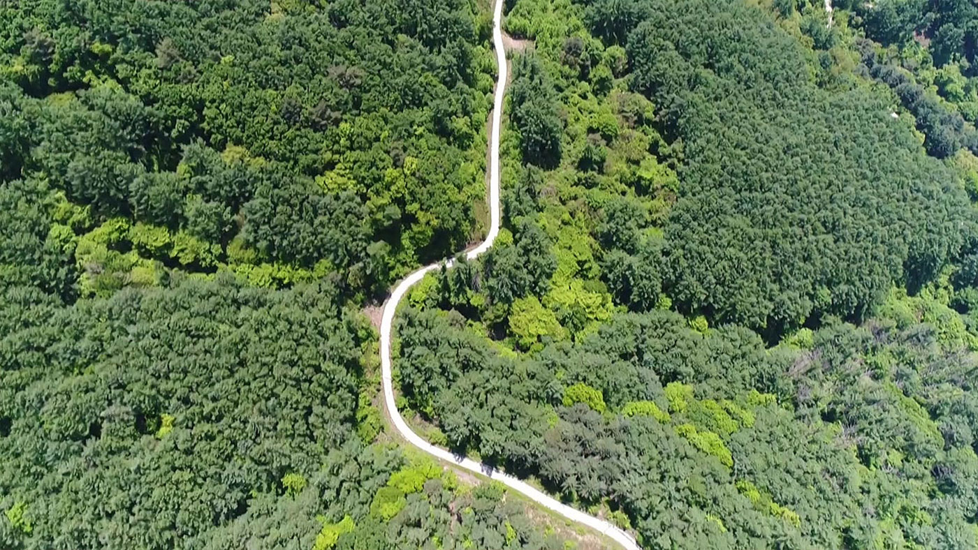 산림녹화 기록물