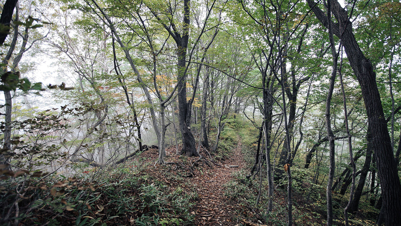 양양 구룡령 옛길 (九龍嶺 옛길): 명승 제29호