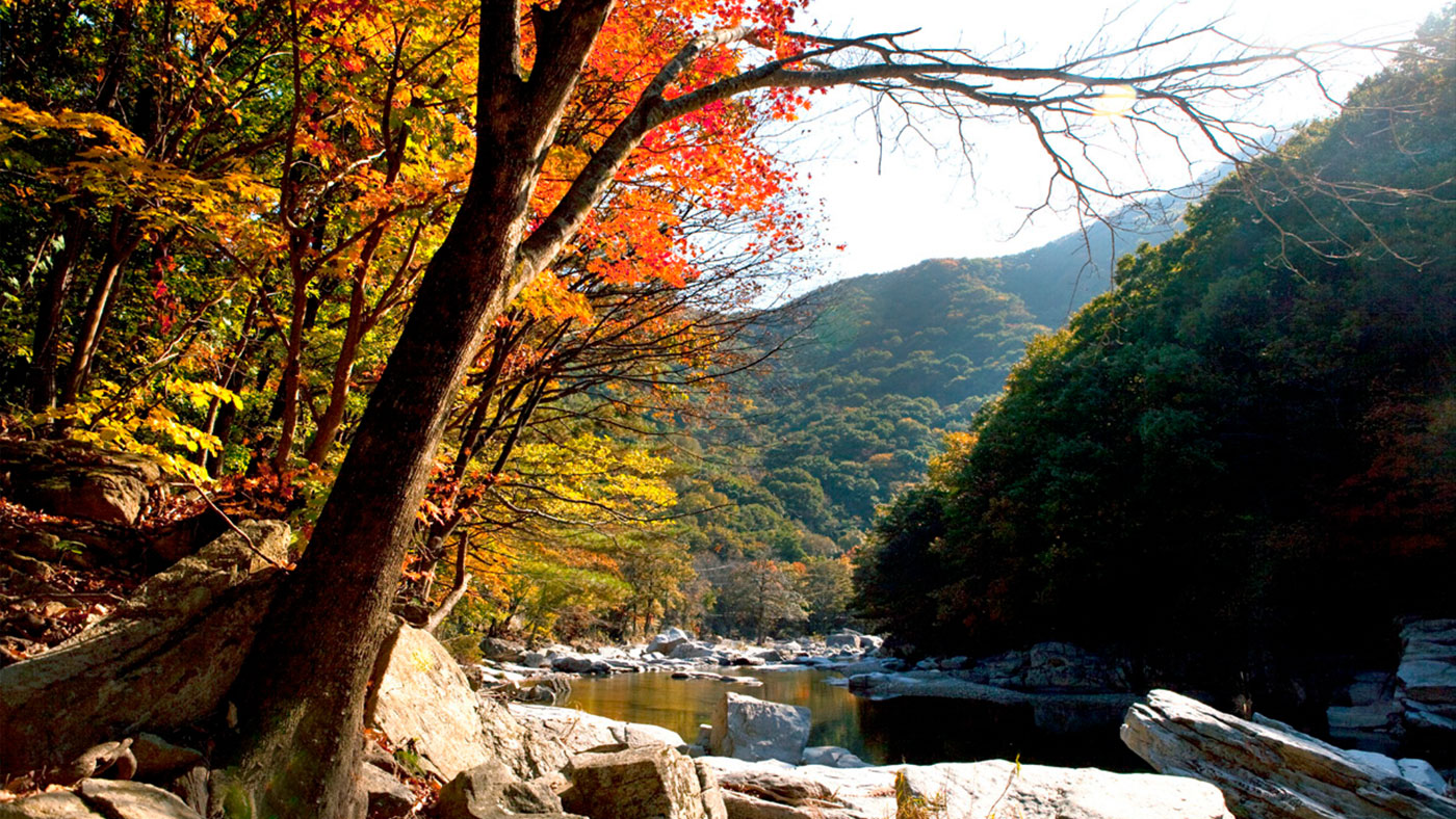 무주 구천동 파회와 수심대 일원 (茂朱九千洞 巴洄·水心臺 一圓): 명승 제56호