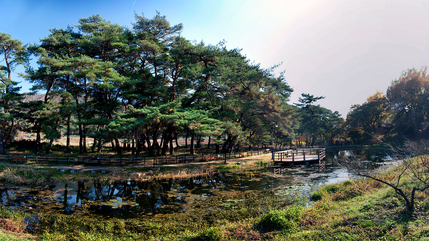 포항 용계정과 덕동숲 (浦項 龍溪亭과 德洞숲): 명승 제81호
