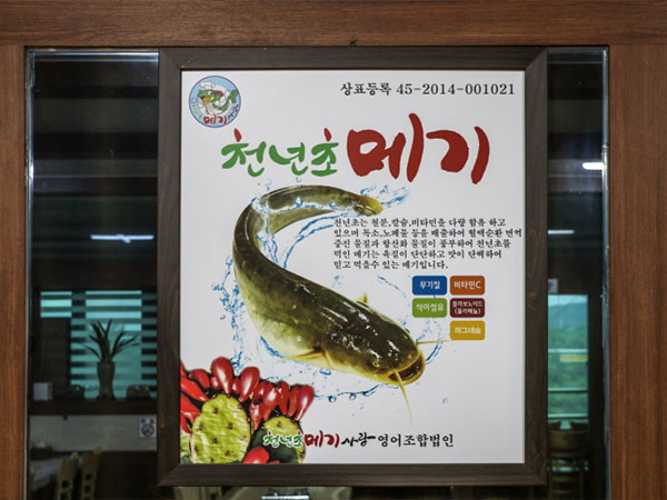 낙동식당 천년초메기
