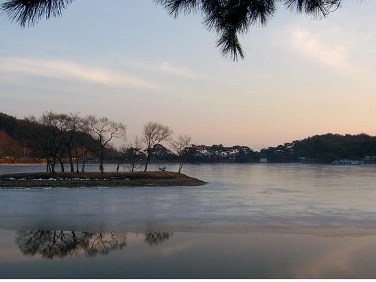 제천의림지와제림 (堤川義林池와堤林)